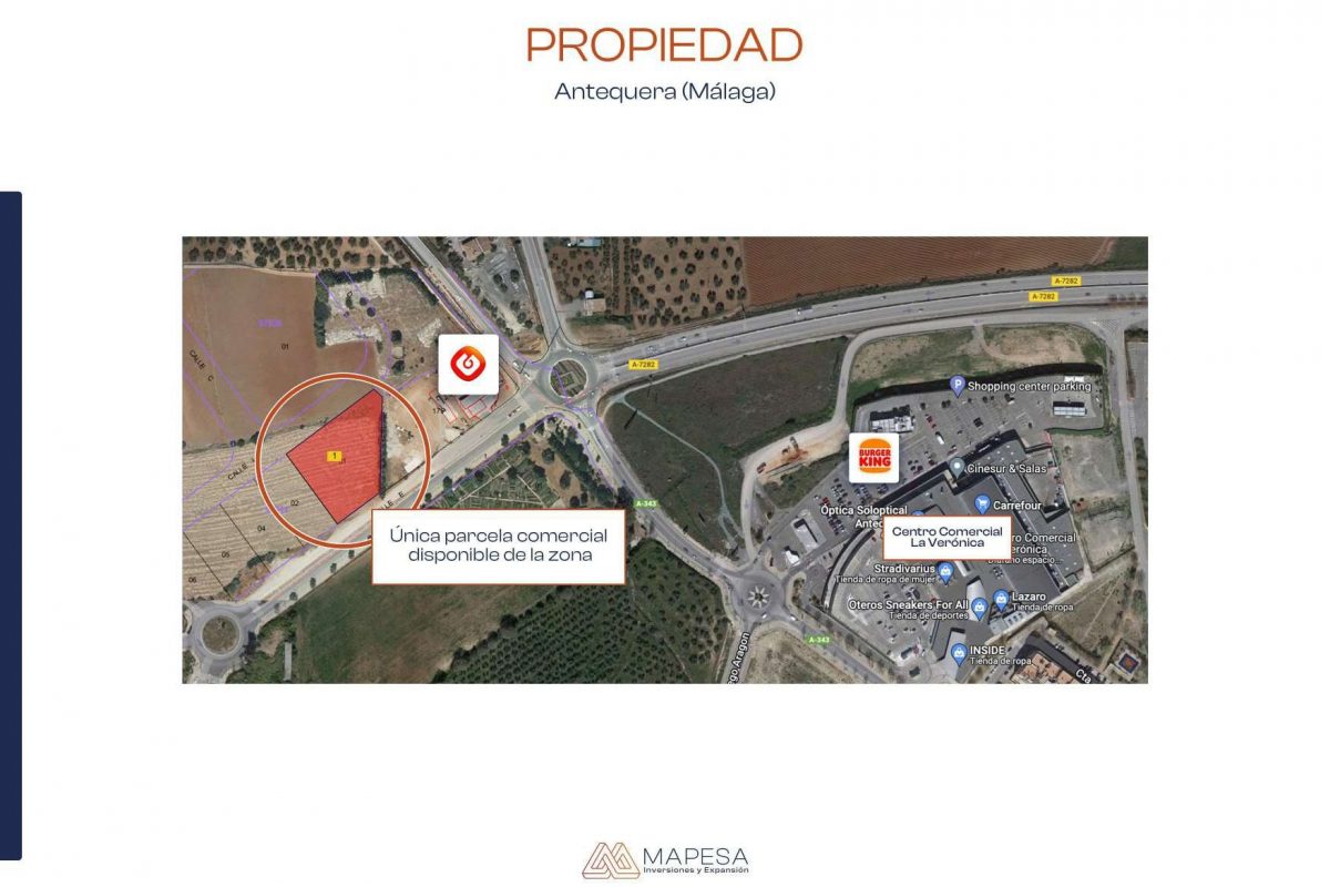 Expediente Suelo Antequera Bueno_page-0010