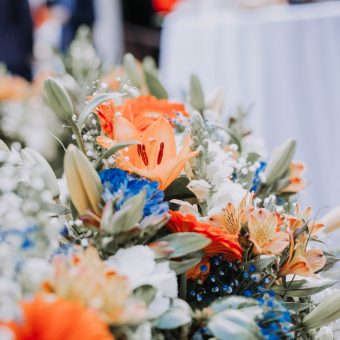 15Mapesa_4 15Mapesa_4